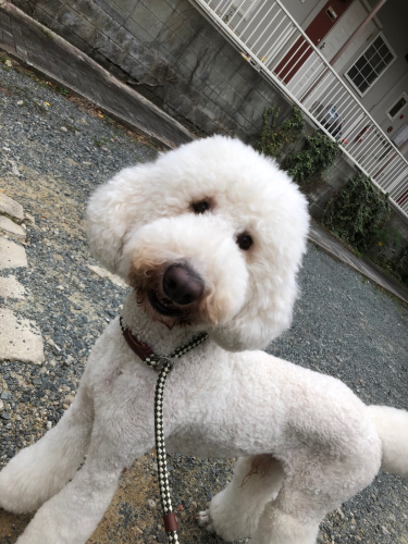たくさん歩いたよ😊_f0357682_08363715.jpg