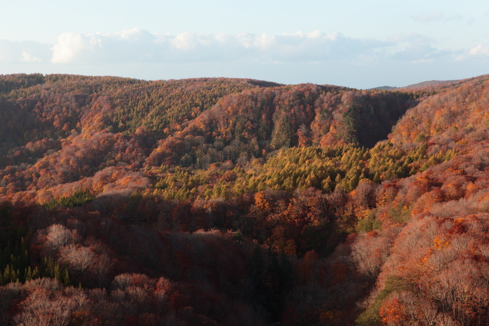青森市 城ヶ倉大橋の紅葉 その1_e0165983_11270443.jpg