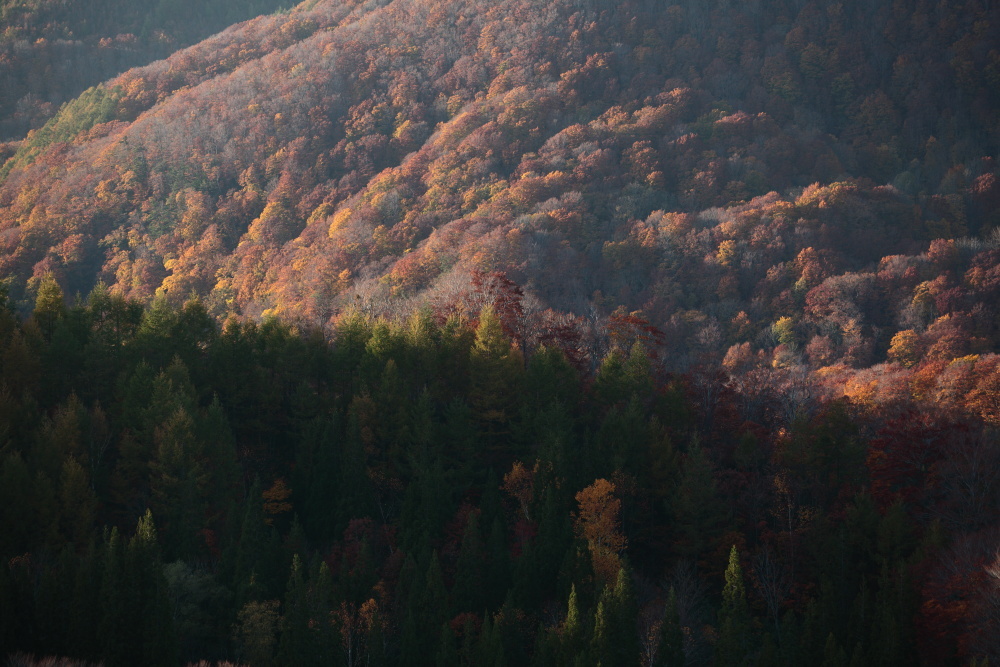 青森市 城ヶ倉大橋の紅葉 その1_e0165983_11271735.jpg