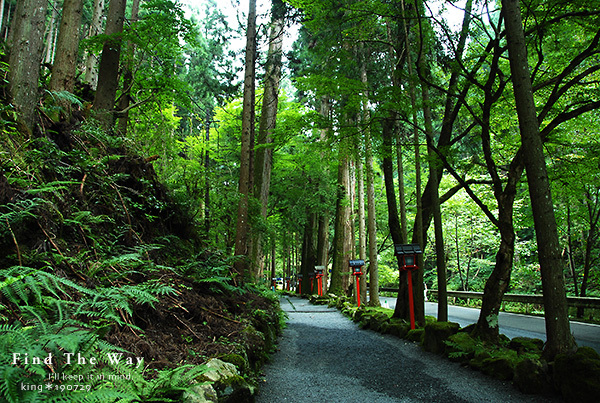 【散歩日和】京都 7/8 貴船神社_f0054594_16095043.jpg