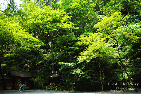 【散歩日和】京都 7/8 貴船神社_f0054594_16115634.jpg