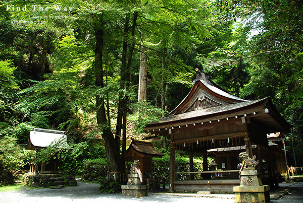 【散歩日和】京都 7/8 貴船神社_f0054594_16124823.jpg