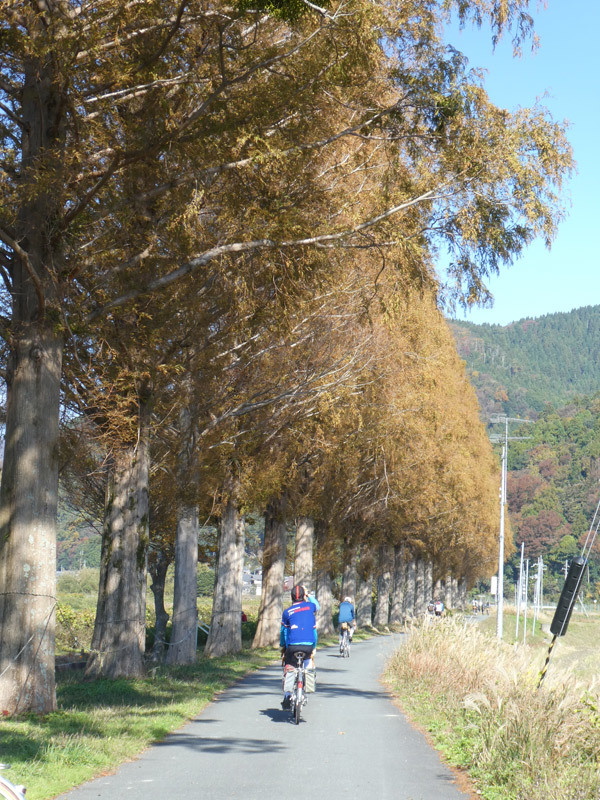 タンデム学会2019 秋_d0383596_23202746.jpg