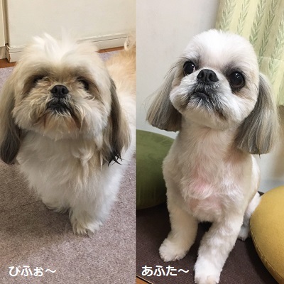 くまはちスペサルw_f0372998_21184646.jpg