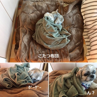 くまはちスペサルw_f0372998_21193906.jpg