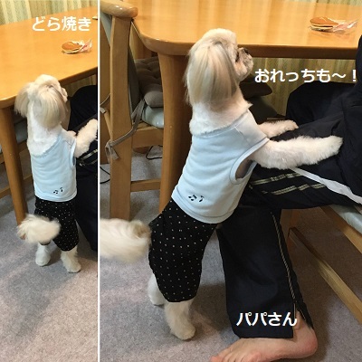 くまはちスペサルw_f0372998_21202313.jpg