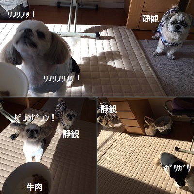 くまはちスペサルw_f0372998_21204149.jpg