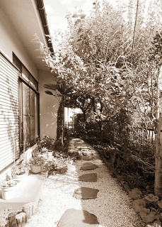 c0039501_17551347.jpg
