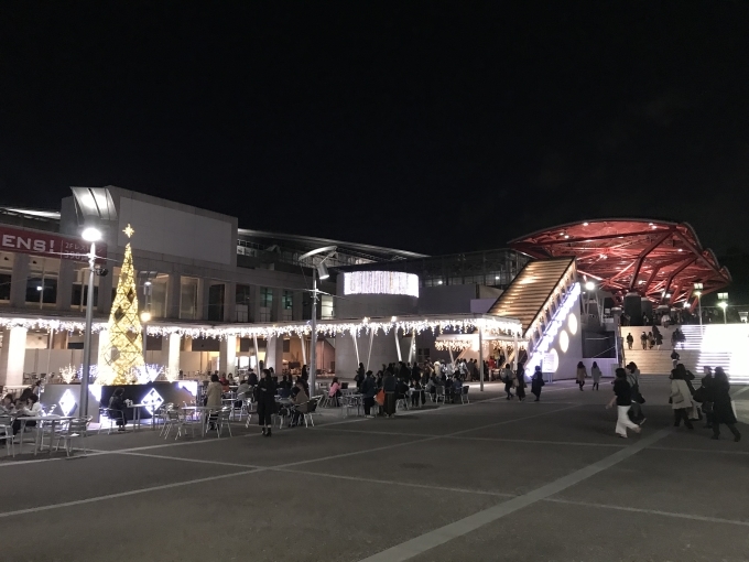 初めての意見聴取は臨場調査移行せず、そして幕張クリスマスツリー_d0054704_20193055.jpg