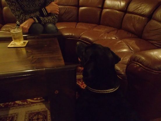喜び犬リョウマ君_f0064906_13242123.jpg