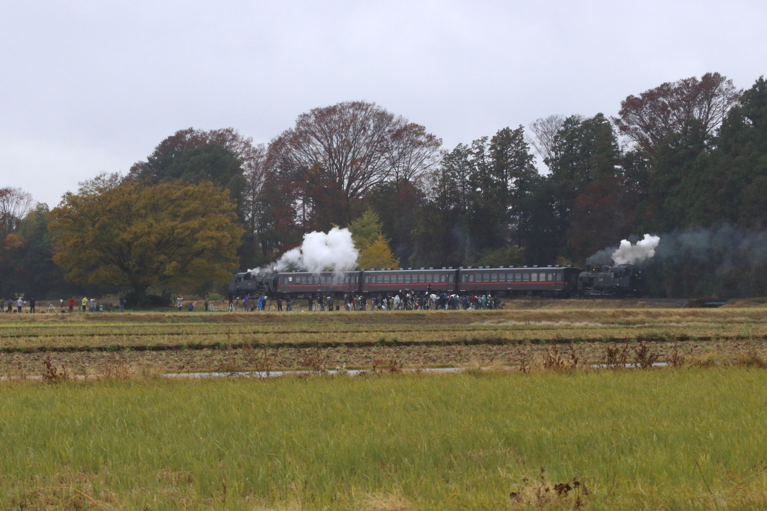大きな欅の樹の下で - 2019年晩秋・真岡鉄道 -_b0190710_18175138.jpg