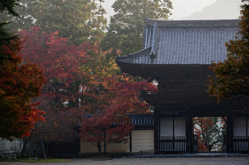 2019京都の紅葉・高雄 神護寺 其の二_f0032011_18534427.jpg