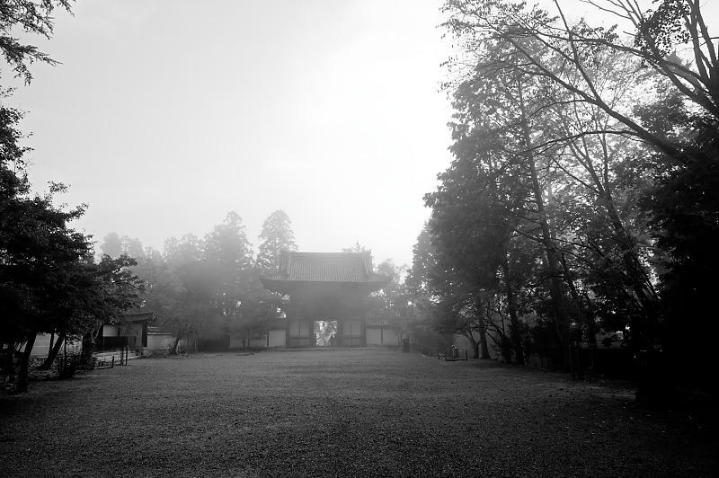 2019京都の紅葉・高雄 神護寺 其の二_f0032011_18534561.jpg