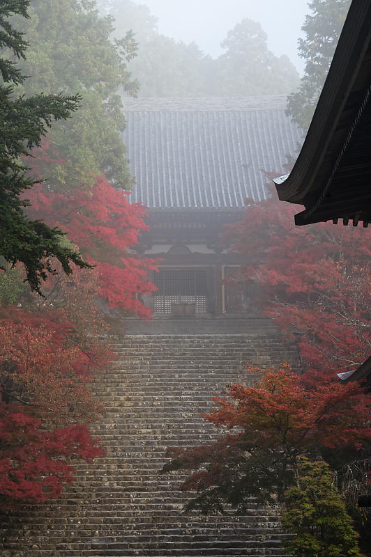 2019京都の紅葉・高雄 神護寺 其の二_f0032011_18534564.jpg