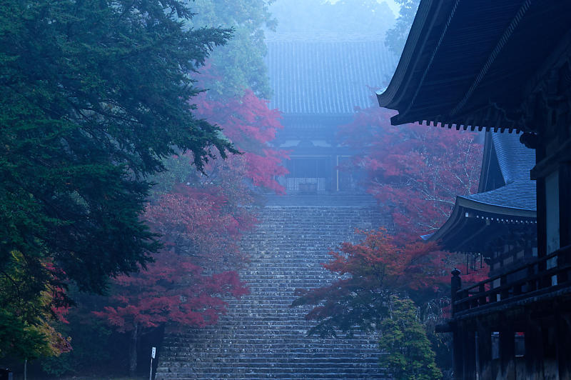 2019京都の紅葉・高雄 神護寺 其の二_f0032011_18534565.jpg