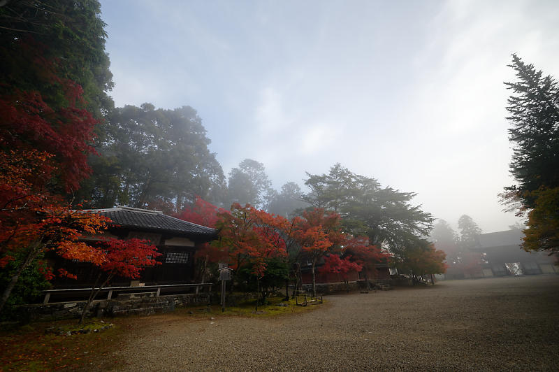 2019京都の紅葉・高雄 神護寺 其の二_f0032011_18594129.jpg