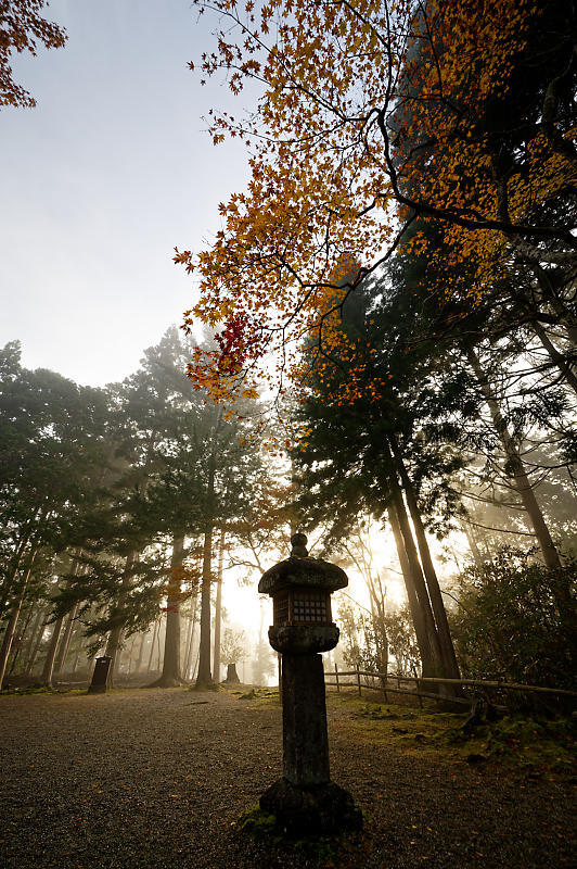 2019京都の紅葉・高雄 神護寺 其の二_f0032011_18594193.jpg
