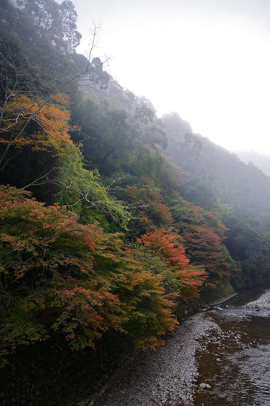2019京都の紅葉・高雄 神護寺 其の二_f0032011_18594231.jpg