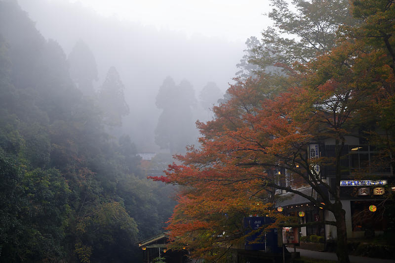 2019京都の紅葉・高雄 神護寺 其の二_f0032011_18594361.jpg