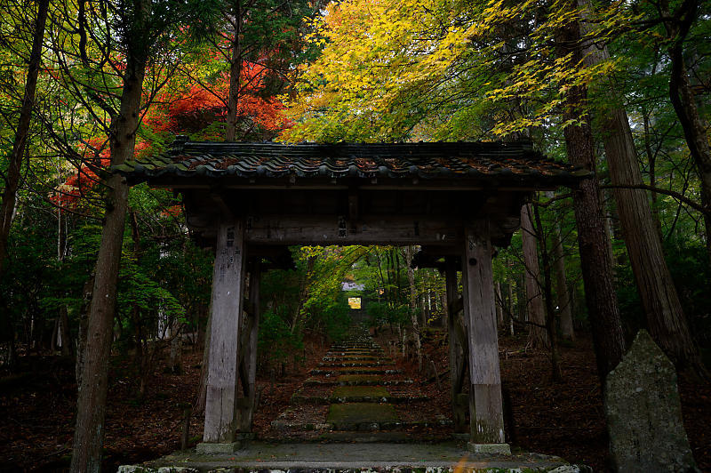 2019京都の紅葉・京北町 常照皇寺 其の一_f0032011_21223937.jpg