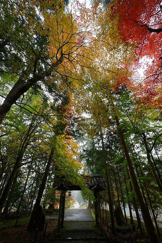 2019京都の紅葉・京北町 常照皇寺 其の一_f0032011_21224007.jpg