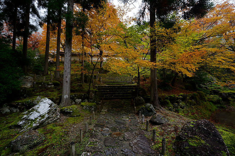 2019京都の紅葉・京北町 常照皇寺 其の一_f0032011_21224117.jpg