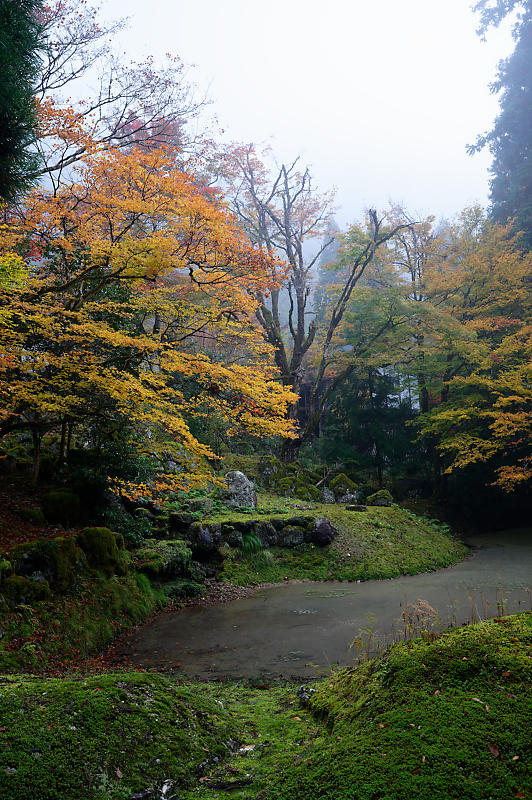 2019京都の紅葉・京北町 常照皇寺 其の一_f0032011_21224140.jpg