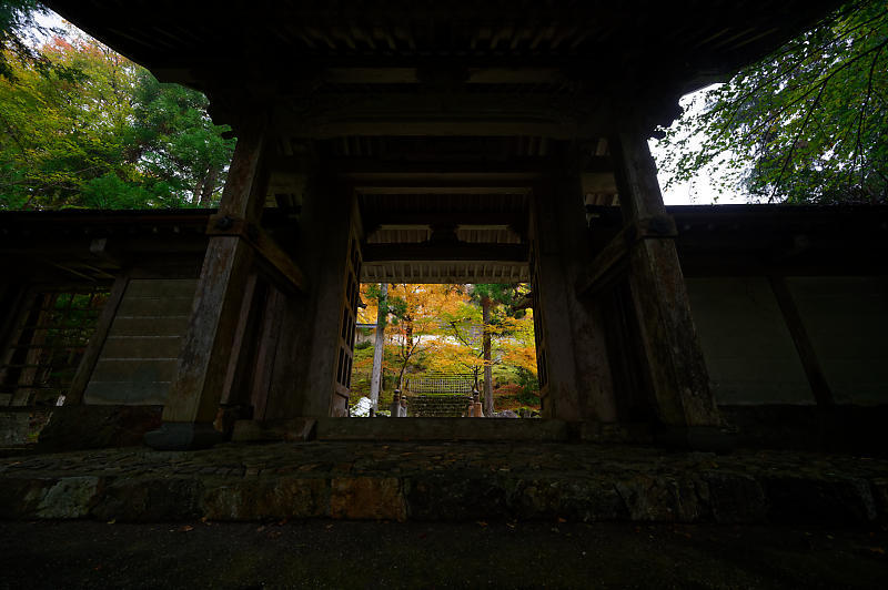2019京都の紅葉・京北町 常照皇寺 其の一_f0032011_21224158.jpg