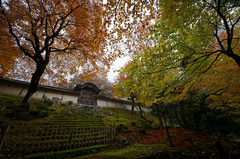 2019京都の紅葉・京北町 常照皇寺 其の一_f0032011_21224170.jpg