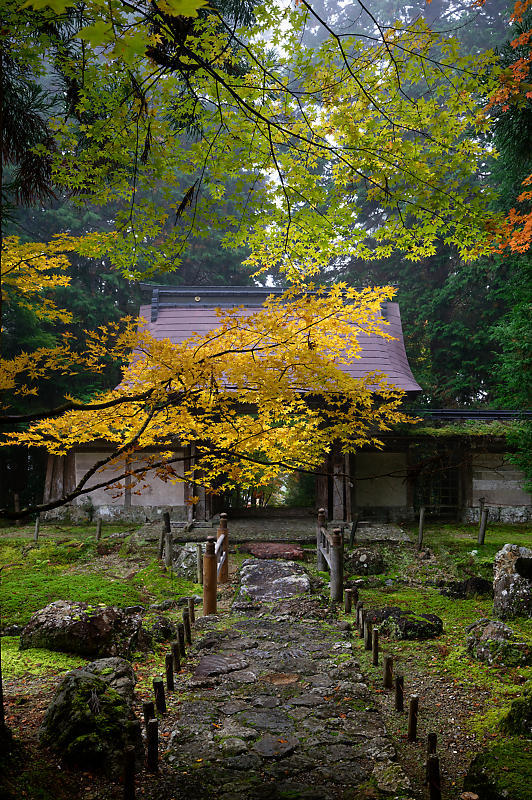 2019京都の紅葉・京北町 常照皇寺 其の一_f0032011_21263852.jpg