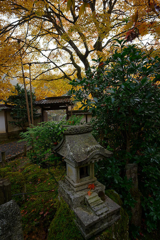 2019京都の紅葉・京北町 常照皇寺 其の一_f0032011_21263902.jpg