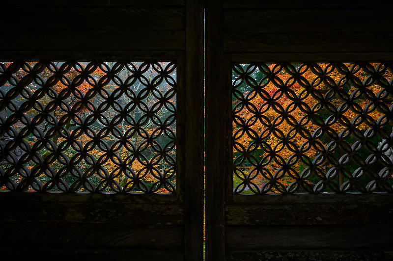 2019京都の紅葉・京北町 常照皇寺 其の一_f0032011_21263923.jpg