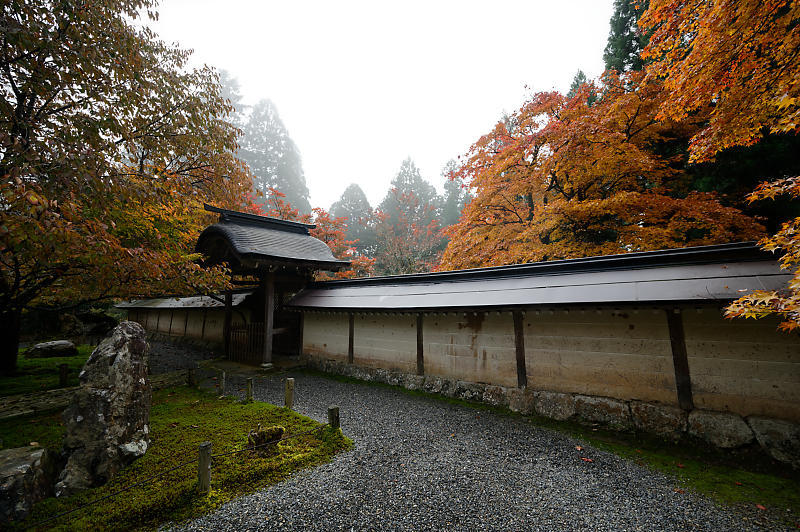 2019京都の紅葉・京北町 常照皇寺 其の一_f0032011_21263933.jpg