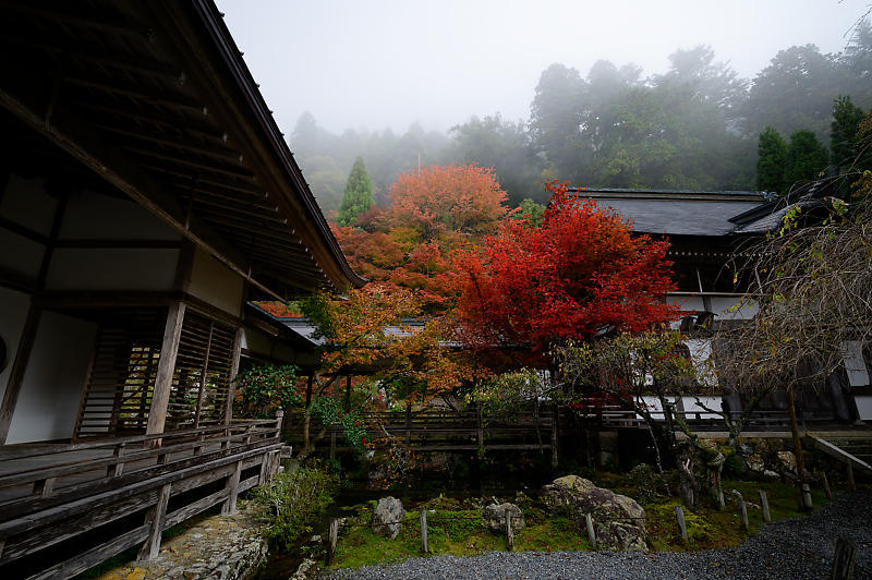2019京都の紅葉・京北町 常照皇寺 其の一_f0032011_21263981.jpg