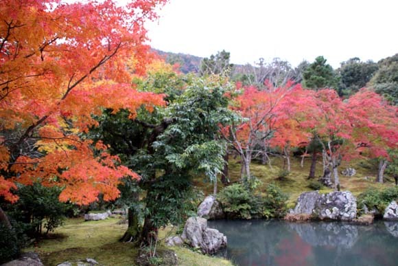 紅葉が盛り　天龍寺など_e0048413_20350056.jpg