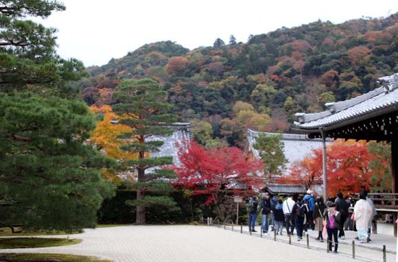 紅葉が盛り　天龍寺など_e0048413_20351307.jpg
