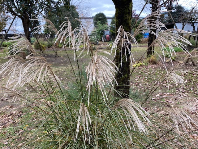 福祉まつり_d0130714_18471188.jpg