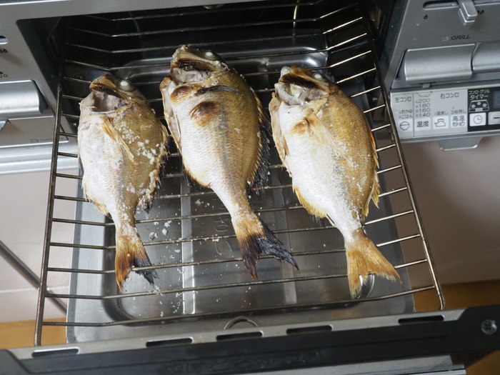 夫の釣果とその後_c0116915_00421240.jpg