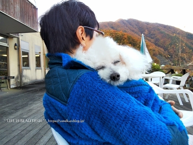 紅葉2019*みずがき湖_d0083623_15591407.jpg