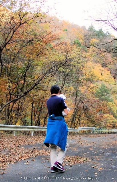 紅葉2019*みずがき湖_d0083623_15595994.jpg