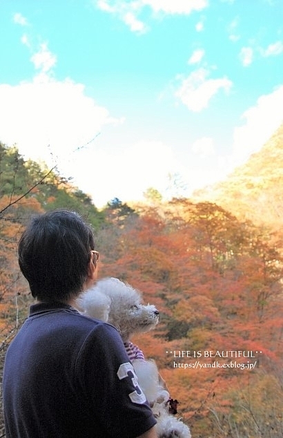 紅葉2019*みずがき湖_d0083623_16000788.jpg