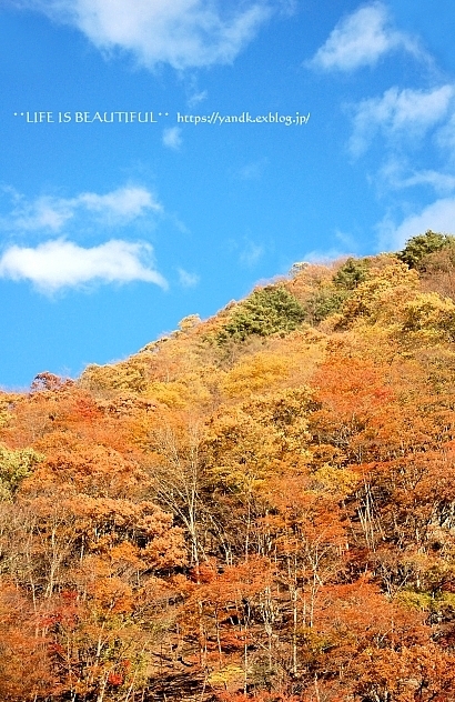 紅葉2019*みずがき湖_d0083623_16001386.jpg