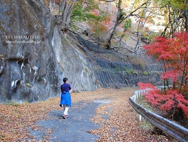 紅葉2019*みずがき湖_d0083623_16003371.jpg