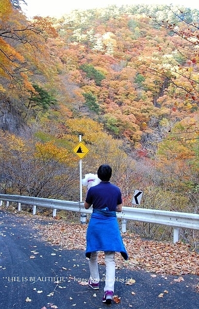 紅葉2019*みずがき湖_d0083623_16003656.jpg