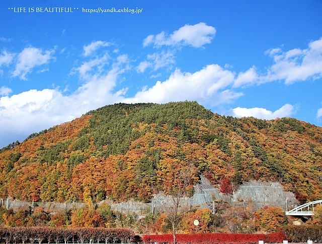 紅葉2019*みずがき湖_d0083623_16005816.jpg