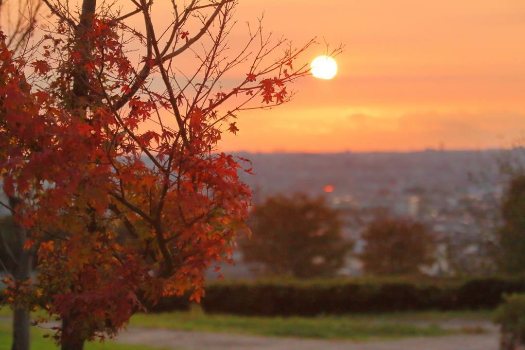 ブログテーマ「秋と言えば紅葉！みんなに見せたい秋の風景ショット2019