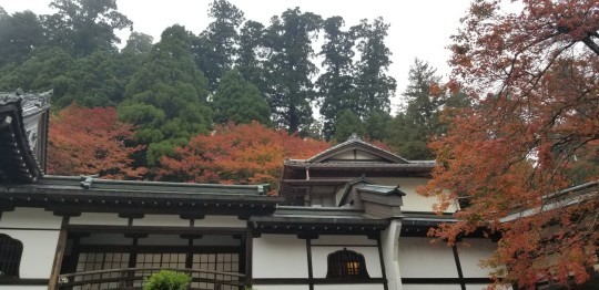 紅葉巡り 大雄山最乗寺 My Favorite Space 紅葉巡り 大雄山最乗寺 My Favorite Space