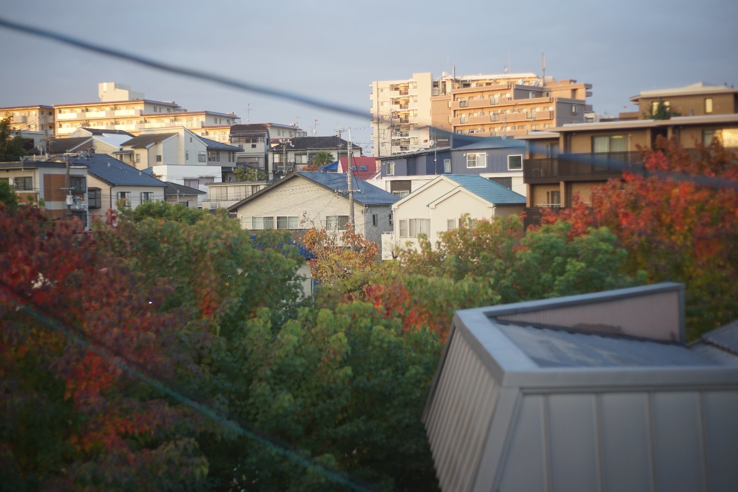 オートタクマー 55mm F2 の 写り_b0069128_08334998.jpg