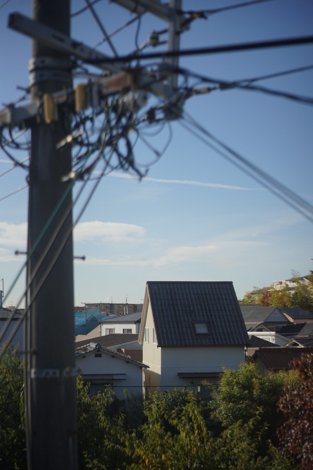 オートタクマー 55mm F2 の 写り_b0069128_08340671.jpg