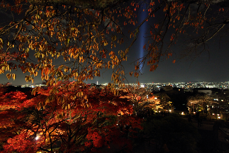 東山紅葉ライトアップ －清水寺（前編）－_b0169330_1073072.jpg